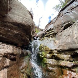 Meet your Posher, Jasmine